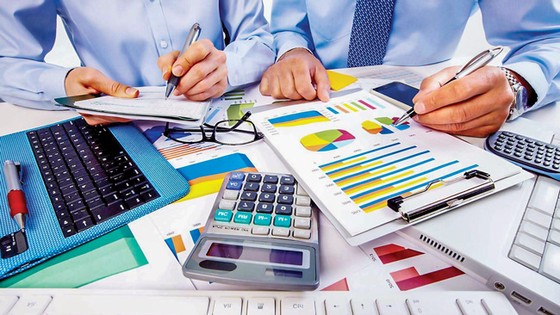 Nới nợ công từ nguồn lực trong nước ảnh 2