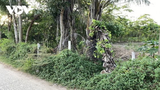 Loạn phân lô, bán nền trên giấy ở Vũng Tàu ảnh 1