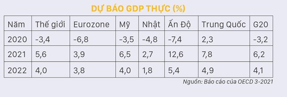 Thành sự tại… vaccine ảnh 2