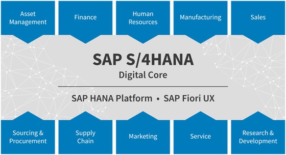 TNR Holdings Vietnam khởi động dự án quản lý nguồn lực ERP SAP S/4HANA ảnh 1