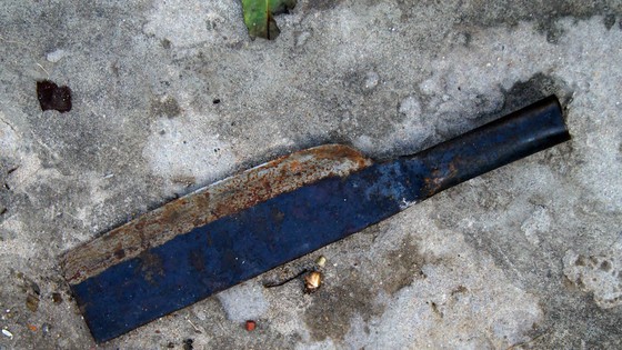 Họp báo thông tin chính thức vụ án phát hiện đầu người trong thùng rác ảnh 5