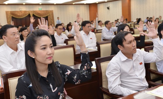 HĐND TPHCM họp bất thường về công tác nhân sự ảnh 2