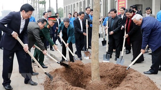 Trồng 40 cây hoa ban tại khuôn viên Nhà Quốc hội ảnh 1