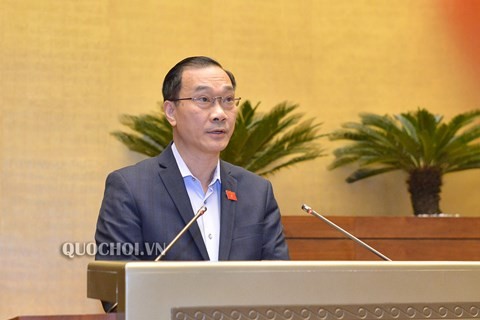 Quốc hội thông qua Luật Công an nhân dân sửa đổi và Luật sửa đổi, bổ sung các luật có quy định liên quan đến quy hoạch ảnh 1
