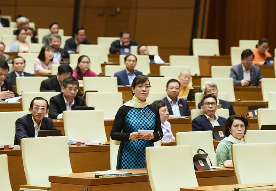 Đại biểu nhắc chính sách lương hưu cho cán bộ nghỉ trước 1993 ảnh 1