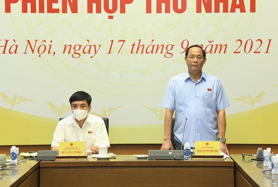 Tổ công tác của UBTVQH họp về vaccine và thuốc điều trị Covid-19 ảnh 1