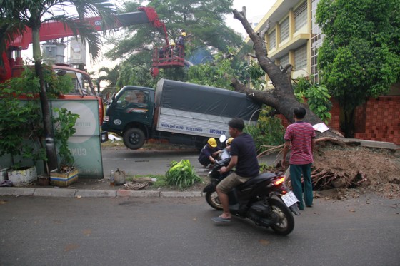 Mưa kèm gió mạnh làm cây xanh bật gốc ngã đè xe tải ở TPHCM ảnh 3