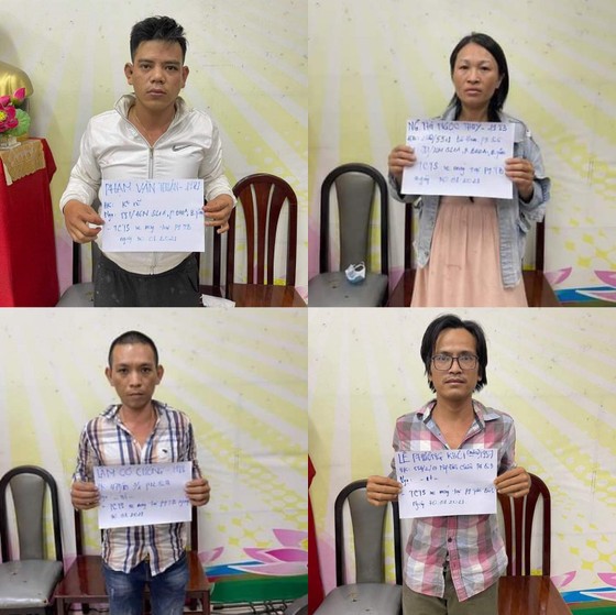 Triệt phá băng trộm cắp chuyên nghiệp ở quận Tân Bình ảnh 1