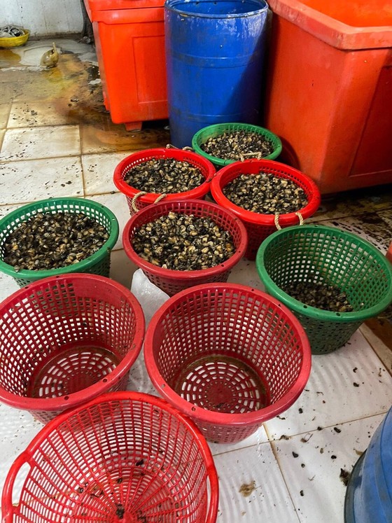 Phát hiện 1,8 tấn ốc ngâm hoá chất ảnh 2