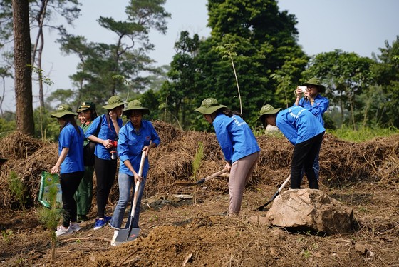 Phủ xanh 2.000 cây Thông Mã Vĩ trên đồi cây “Dâng Bác – Ơn Thầy” ảnh 18