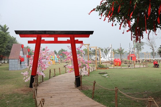 Dịp Tết thưởng thức 'Bản giao hưởng mùa xuân' lung linh tại Ecopark ảnh 4