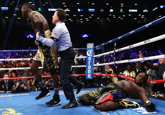Wilder đấm gục Stiverne ngay trong hiệp đấu đầu tiên ảnh 2