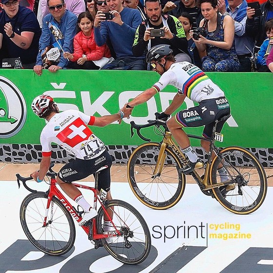 Xe đạp: Sagan đăng quang Paris-Roubaix, Goolaerts qua đời vì ngưng tim ảnh 2