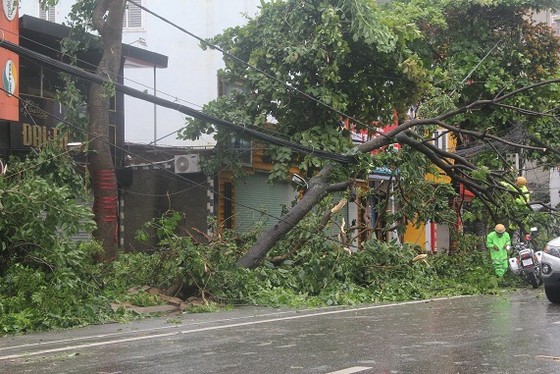 Hà Tĩnh: Bão số 2 đổ bộ khiến hàng loạt cây xanh, cột điện, biển hiệu... bị gãy đổ ảnh 28