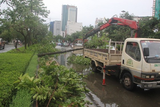 Hà Tĩnh: Bão số 2 đổ bộ khiến hàng loạt cây xanh, cột điện, biển hiệu... bị gãy đổ ảnh 29