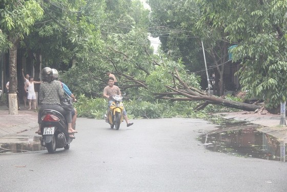 Hà Tĩnh: Bão số 2 đổ bộ khiến hàng loạt cây xanh, cột điện, biển hiệu... bị gãy đổ ảnh 27