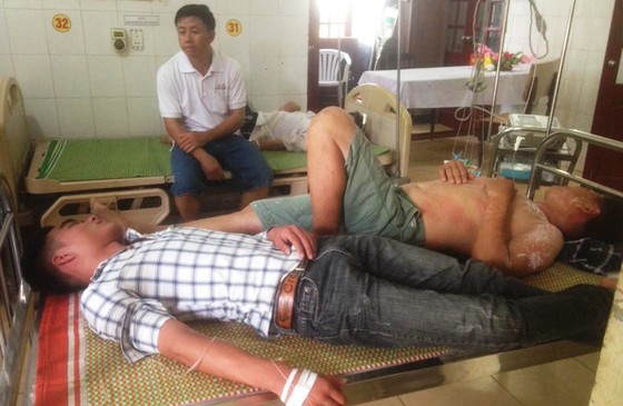 Gần 20 học sinh nhập viện vì bị ong đốt ảnh 1