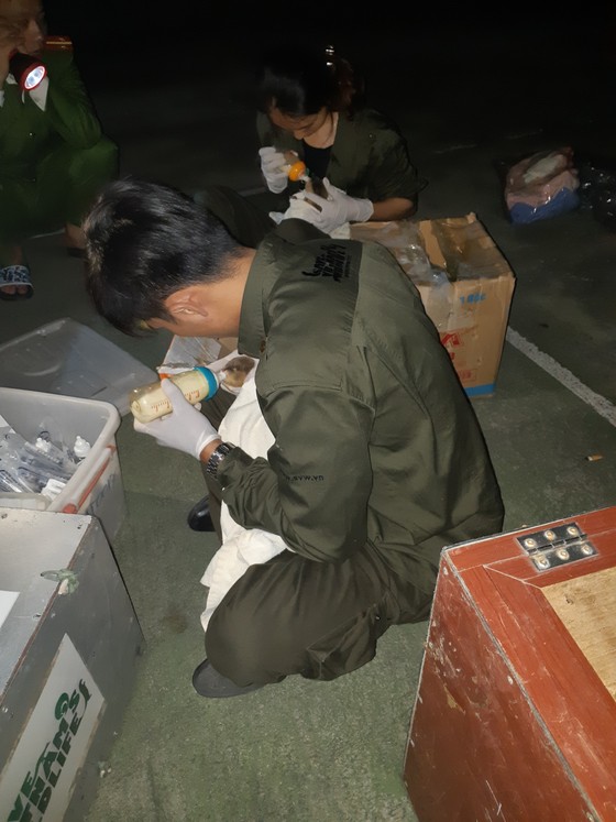 Cứu hộ thành công 15 cá thể rái cá quý hiếm ảnh 2
