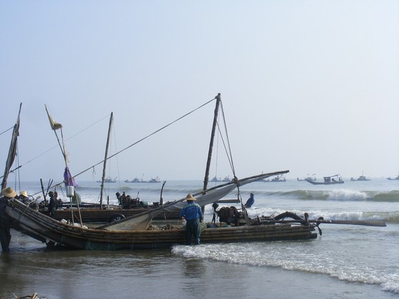 Ra biển đánh bắt cá, con tử vong, cha mất tích ảnh 1