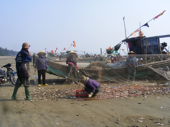Ngư dân Thanh Hóa 'mở cửa biển', ra khơi đánh bắt đầu năm ảnh 1