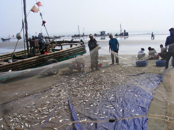 Ngư dân Thanh Hóa 'mở cửa biển', ra khơi đánh bắt đầu năm ảnh 2