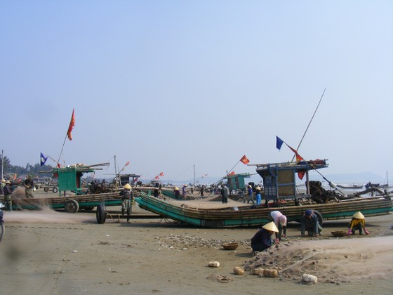 Ngư dân Thanh Hóa 'mở cửa biển', ra khơi đánh bắt đầu năm ảnh 3