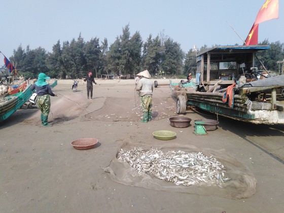 Ngư dân Thanh Hóa 'mở cửa biển', ra khơi đánh bắt đầu năm ảnh 4