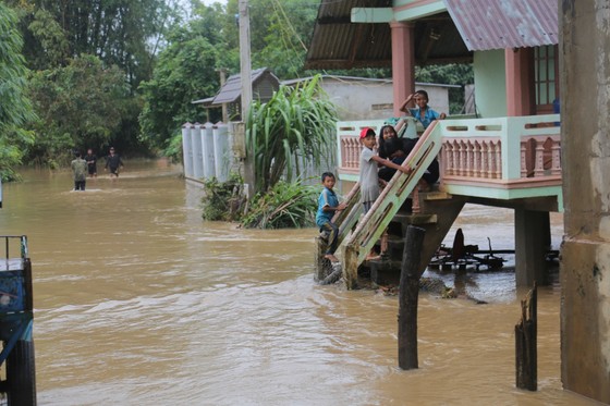 Đắk Lắk: Mưa lớn, hàng trăm nhà dân, hoa màu bị nhấn chìm ảnh 6
