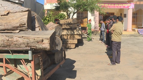 Xác định 7 đối tượng phá rừng đặc dụng Nam Ka với quy mô lớn ảnh 1
