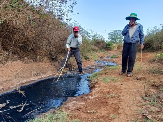 Đắk Lắk: Phát hiện doanh nghiệp xả thải sai quy định ảnh 3