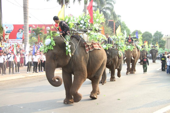 Hàng ngàn người tham dự Lễ hội đường phố ở Buôn Ma Thuột ảnh 1