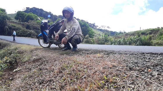 Vụ phát quang quốc lộ bằng thuốc diệt cỏ: Kiểm điểm trách nhiệm tổ chức, cá nhân có liên quan ảnh 1