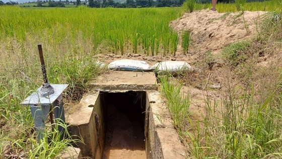 Công trình thủy lợi trăm tỷ chưa bàn giao đã 'nát': Chủ đầu tư nói gì? ảnh 4