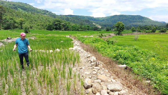 Công trình thủy lợi trăm tỷ chưa bàn giao đã 'nát': Chủ đầu tư nói gì? ảnh 2