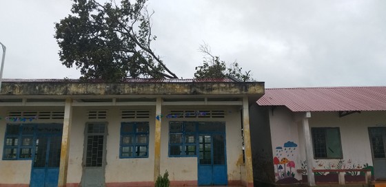 Bắc Tây Nguyên: Cầu bị cuốn trôi, 3 thôn bị cô lập, đã có người chết ảnh 2