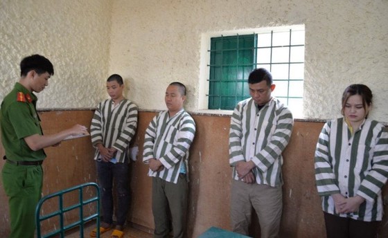 Gia Lai: Khởi tố băng nhóm dùng thiết bị điện tử để 'ăn gian' khối lượng lớn cà phê ảnh 1