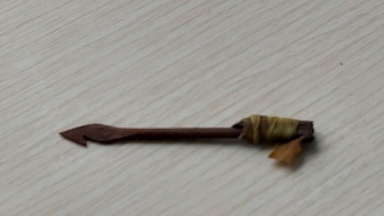 Cứu sống bệnh nhi bị mũi tên đâm xuyên mắt vào sọ não ảnh 1