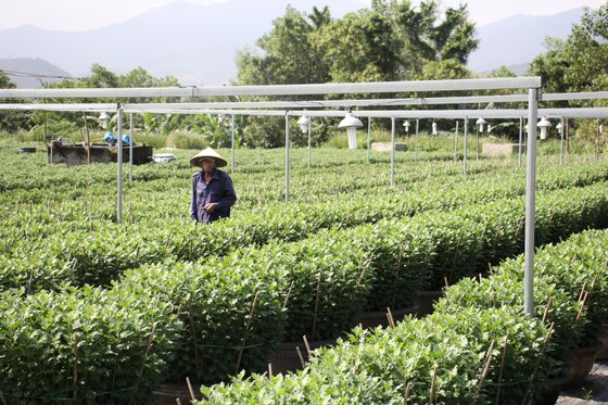 Hoà Vang nỗ lực hoàn thành xây dựng nông thôn mới ảnh 3