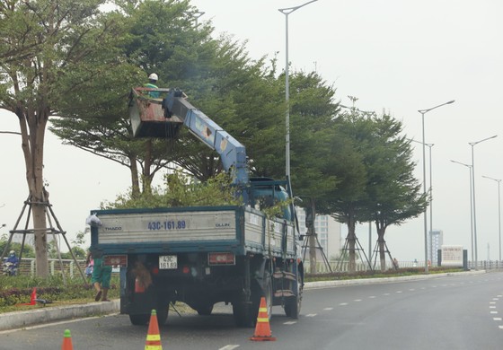 Đà Nẵng ráo riết chuẩn bị phòng bão số 5 ảnh 11