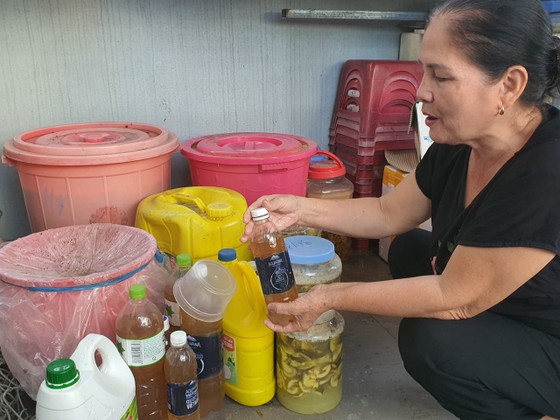 Phụ nữ Đà Nẵng tạo thói quen từ những hoạt động nhỏ về môi trường ảnh 2