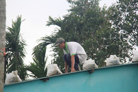 Đà Nẵng "chạy đua" chống cơn bão số 13 ảnh 6