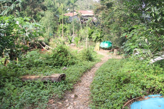 Đà Nẵng "chạy đua" chống cơn bão số 13 ảnh 4