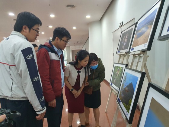 450 tác phẩm tham gia Cuộc thi Sáng tác Ảnh năm 2020 với chủ đề 'Đà Nẵng - Hành động vì thiên nhiên' ảnh 1