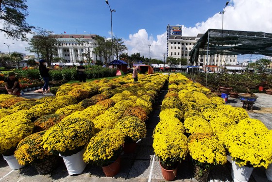 Tiểu thương chợ hoa tết ở Đà Nẵng 'nhớ' người mua ảnh 1