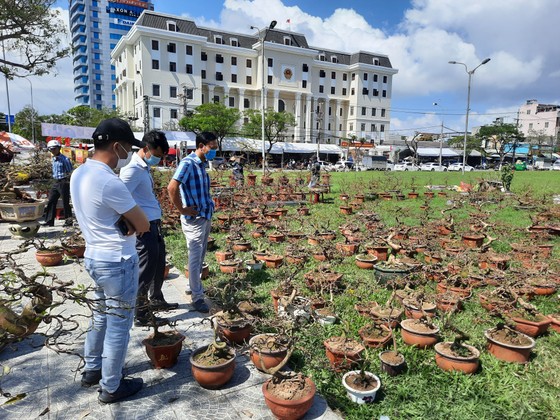 Tiểu thương chợ hoa tết ở Đà Nẵng 'nhớ' người mua ảnh 3