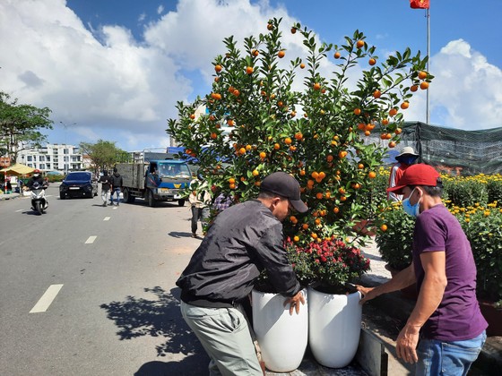 Tiểu thương chợ hoa tết ở Đà Nẵng 'nhớ' người mua ảnh 7