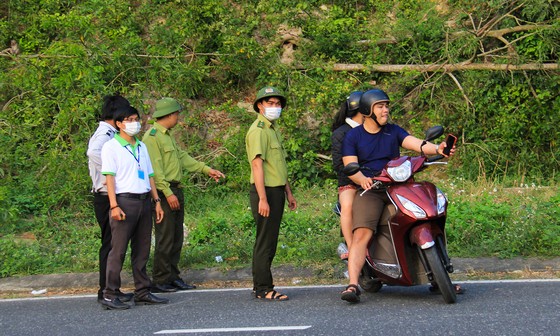 Không cho khỉ ăn để bảo vệ đàn khỉ trên bán đảo Sơn Trà ảnh 3