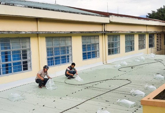Đà Nẵng: Tạo điều kiện cho địa phương sử dụng cơ sở giáo dục làm nơi tập kết, sơ tán dân ảnh 9