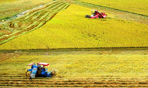 Bước chuyển nông nghiệp ĐBSCL ảnh 1