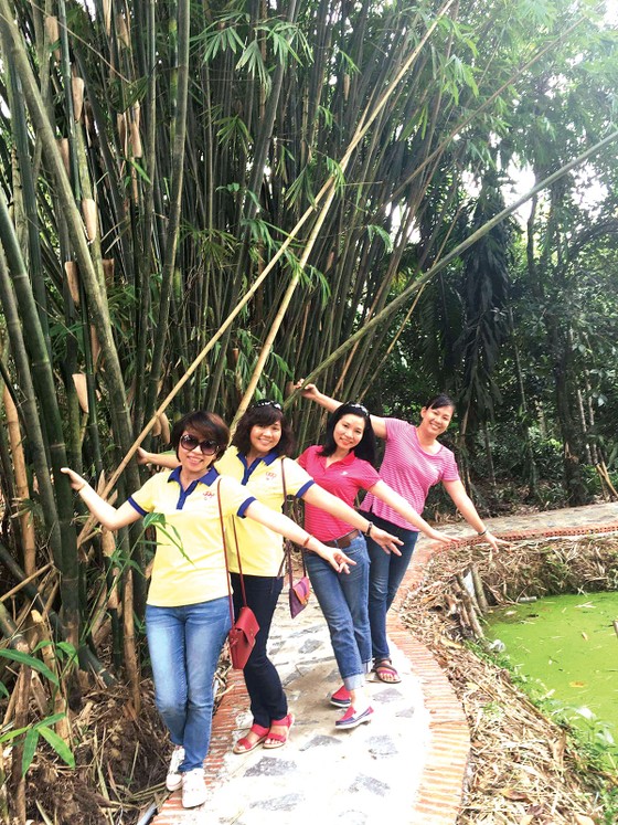 Đời tre ảnh 1